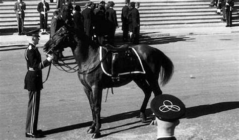 Black Jack: The Riderless Horse in JFK’s Funeral.